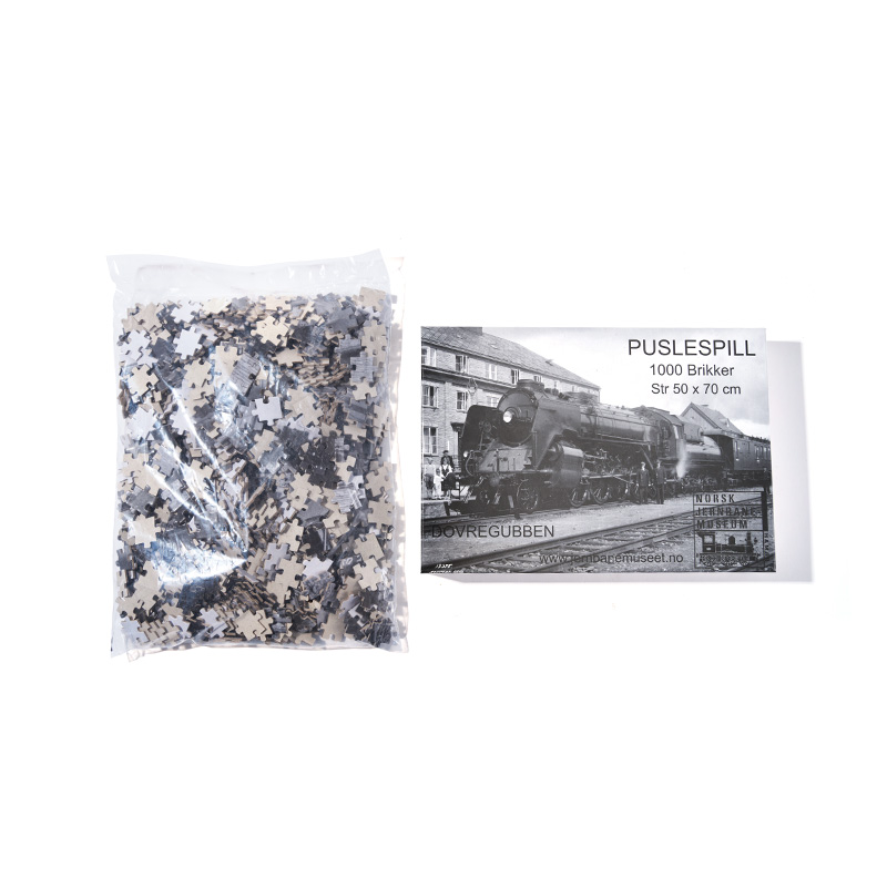 500–1000 Piece Jigsaw Puzzle Adult Challenge Set
