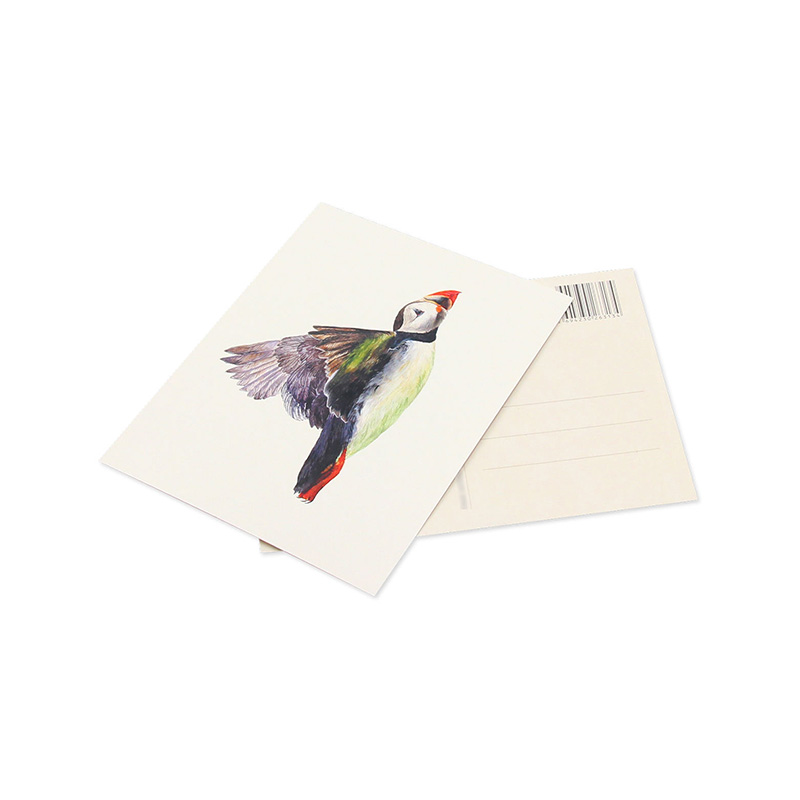 Photography Art Postcards