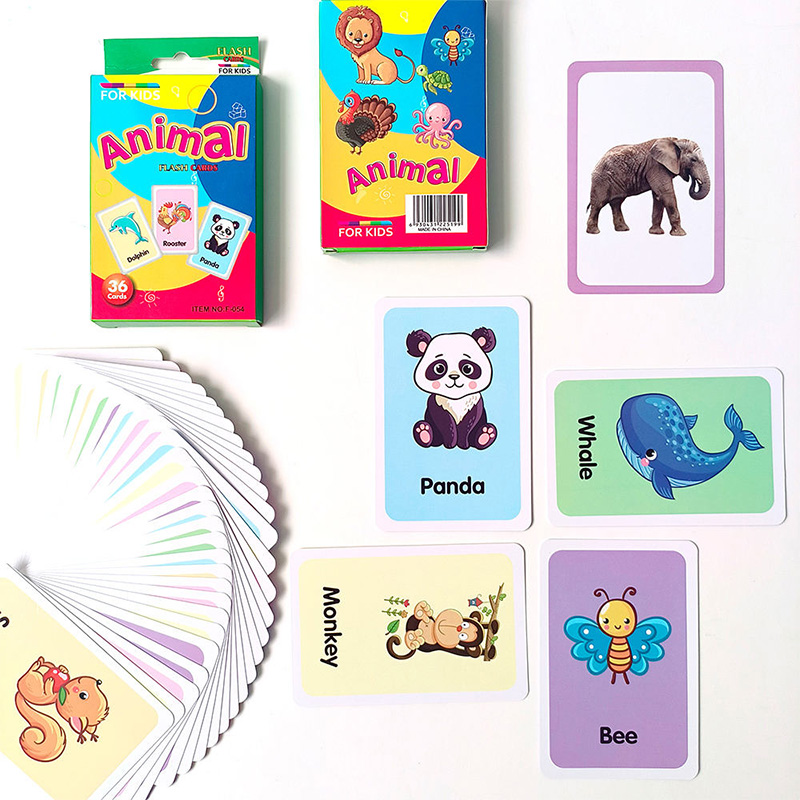 Theme Learning Flash Cards Set